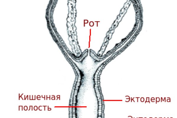 Что такое кракен шоп