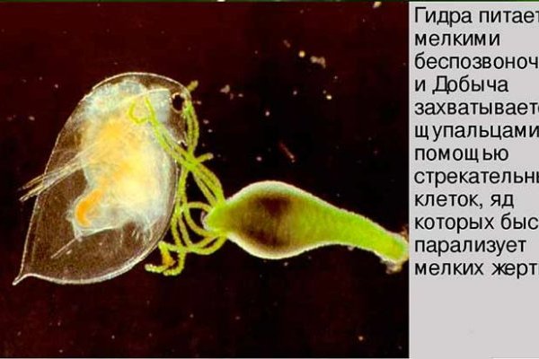 Кракен ссылка тор