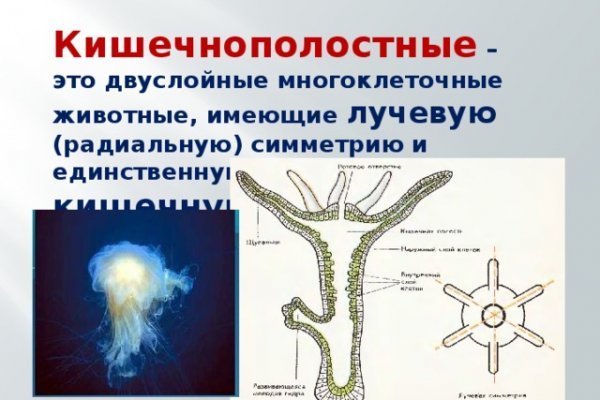 Актуальная ссылка на кракен