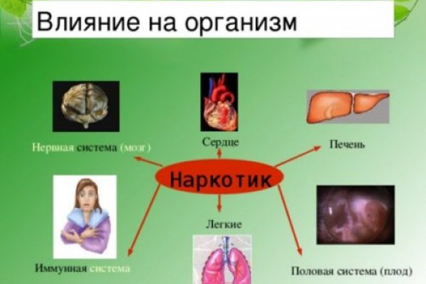 Как написать администрации даркнета кракен