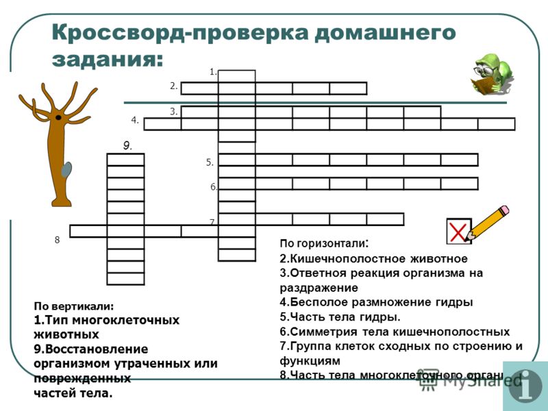 Кракен как зарегистрироваться